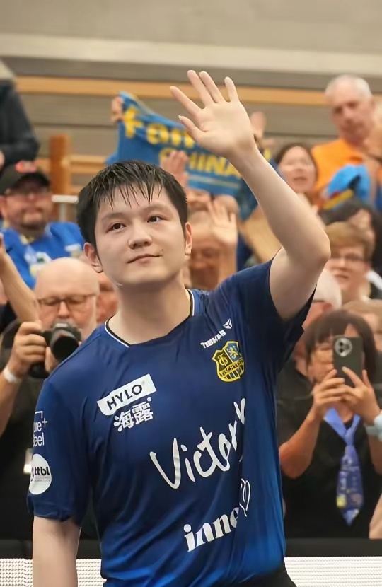 引起了不少 引起了不少