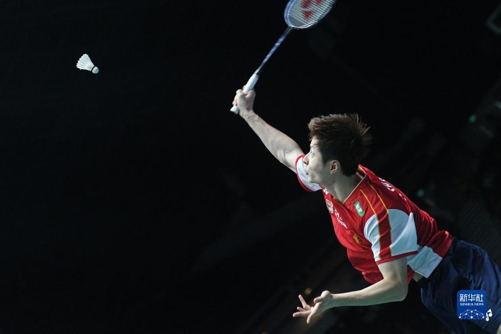 杂且动态修 杂且动态修